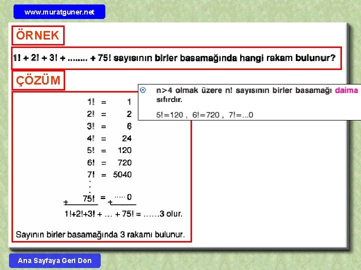 www. muratguner. net ÖRNEK ÇÖZÜM Ana Sayfaya Geri Dön 