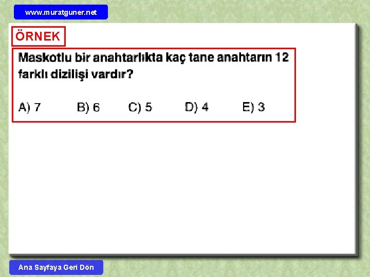 www. muratguner. net ÖRNEK Ana Sayfaya Geri Dön 