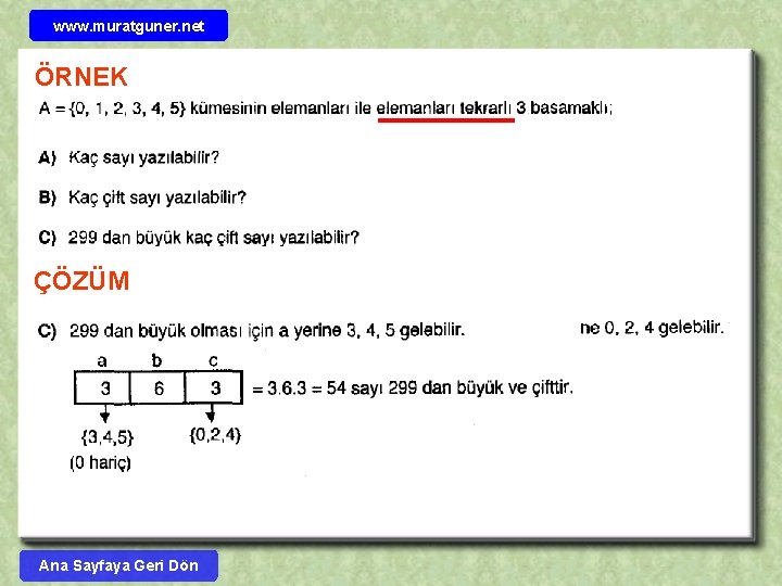 www. muratguner. net ÖRNEK ÇÖZÜM Ana Sayfaya Geri Dön 