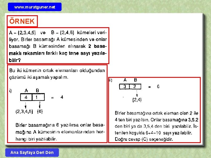 www. muratguner. net ÖRNEK Ana Sayfaya Geri Dön 