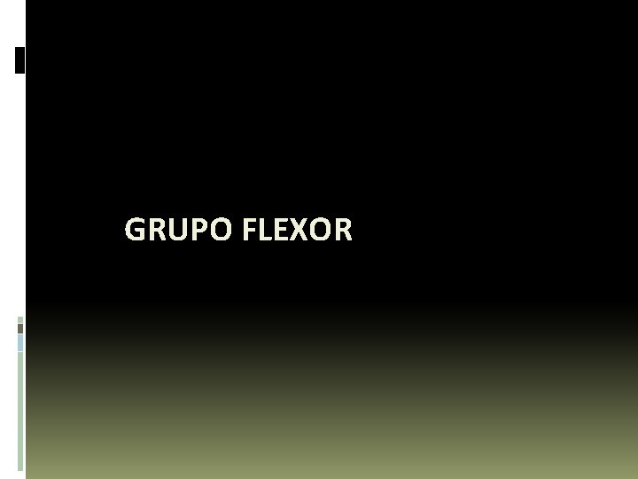 GRUPO FLEXOR 