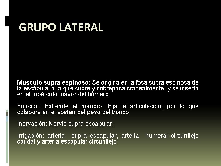 GRUPO LATERAL Musculo supra espinoso: Se origina en la fosa supra espinosa de la