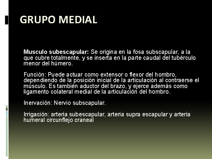 GRUPO MEDIAL Musculo subescapular: Se origina en la fosa subscapular, a la que cubre