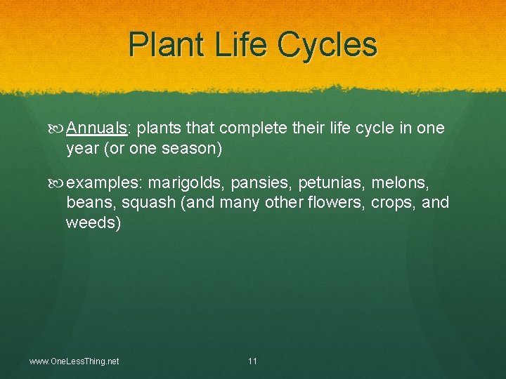 Plant Life Cycles Annuals: plants that complete their life cycle in one year (or