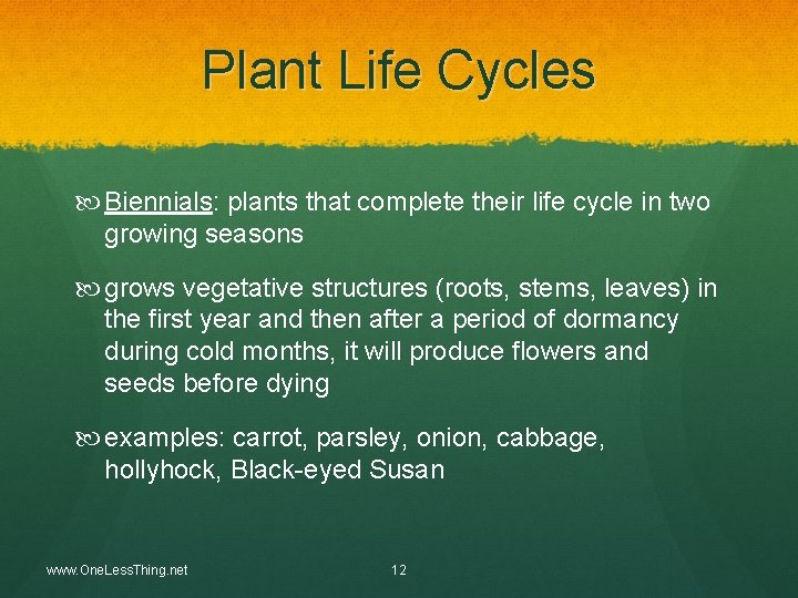 Plant Life Cycles Biennials: plants that complete their life cycle in two growing seasons