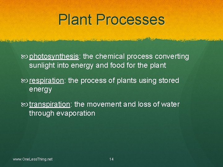 Plant Processes photosynthesis: the chemical process converting sunlight into energy and food for the