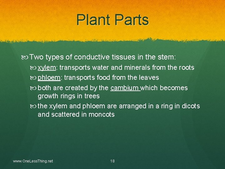 Plant Parts Two types of conductive tissues in the stem: xylem: transports water and