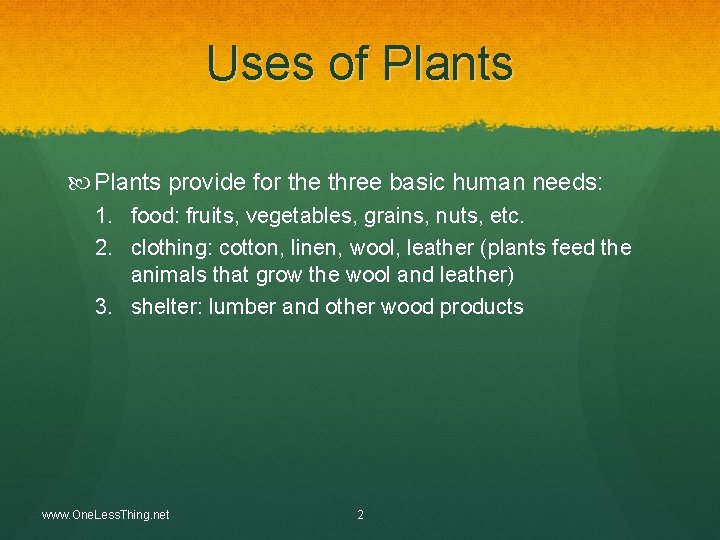 Uses of Plants provide for the three basic human needs: 1. food: fruits, vegetables,