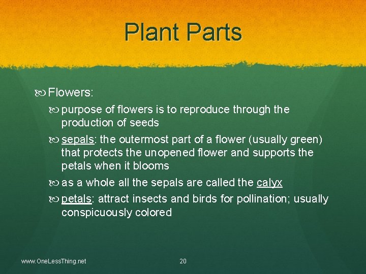 Plant Parts Flowers: purpose of flowers is to reproduce through the production of seeds