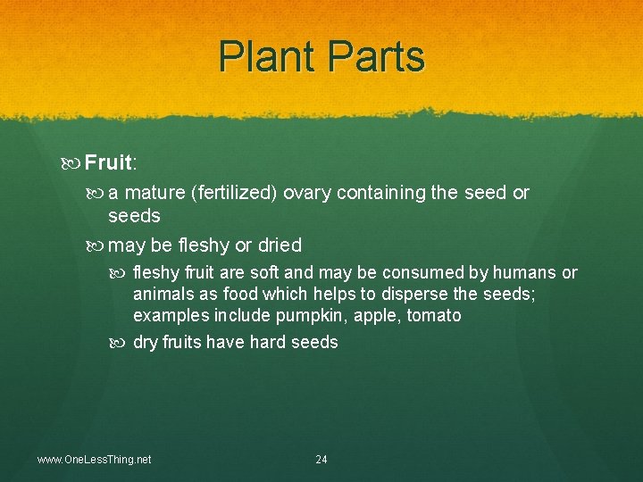 Plant Parts Fruit: a mature (fertilized) ovary containing the seed or seeds may be