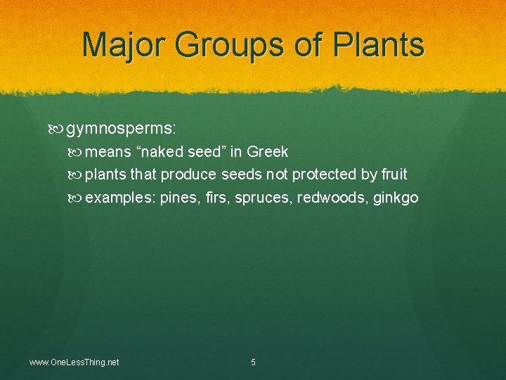 Major Groups of Plants gymnosperms: means “naked seed” in Greek plants that produce seeds