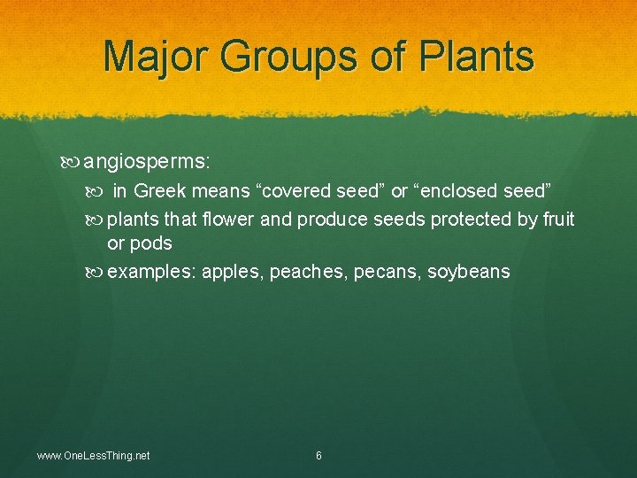 Major Groups of Plants angiosperms: in Greek means “covered seed” or “enclosed seed” plants