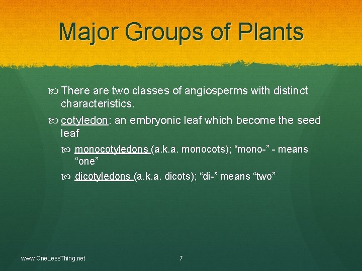 Major Groups of Plants There are two classes of angiosperms with distinct characteristics. cotyledon: