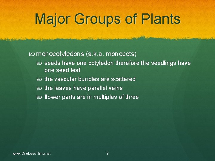 Major Groups of Plants monocotyledons (a. k. a. monocots) seeds have one cotyledon therefore