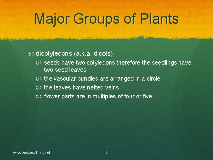 Major Groups of Plants dicotyledons (a. k. a. dicots) seeds have two cotyledons therefore