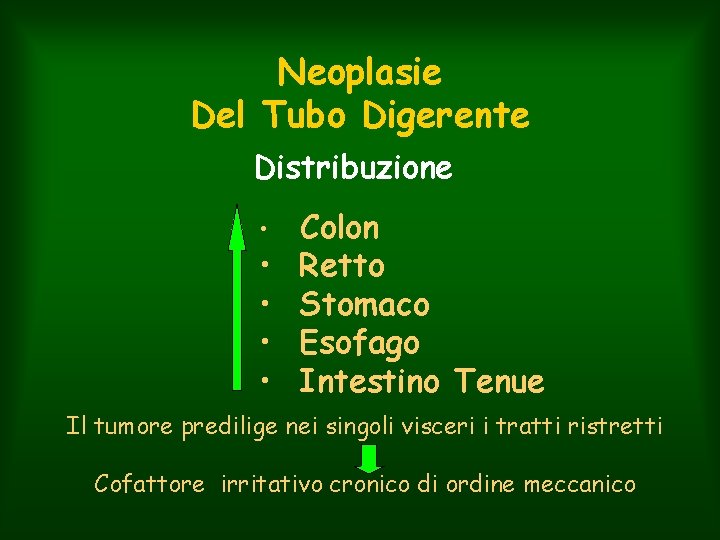 Neoplasie Del Tubo Digerente Distribuzione • • • Colon Retto Stomaco Esofago Intestino Tenue