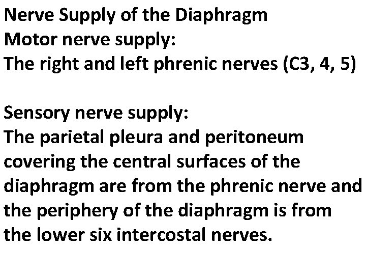 Nerve Supply of the Diaphragm Motor nerve supply: The right and left phrenic nerves