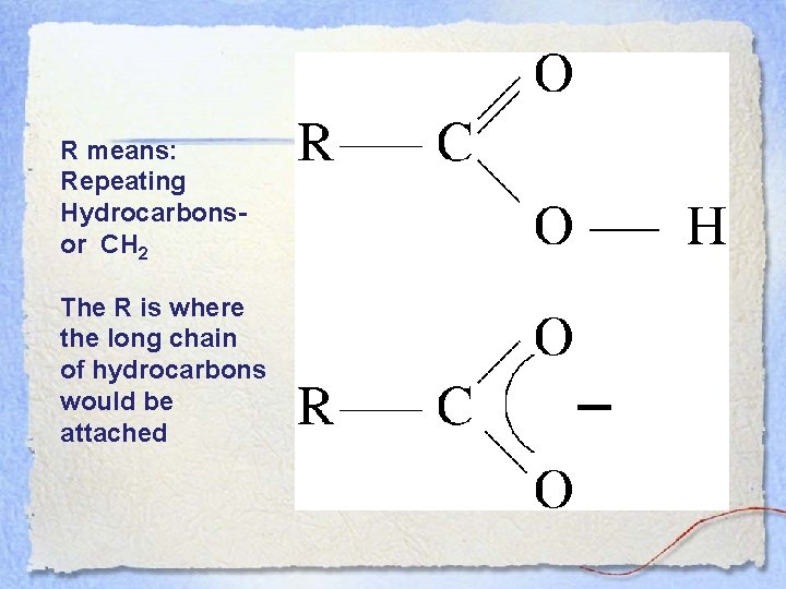 R means: Repeating Hydrocarbonsor CH 2 The R is where the long chain of