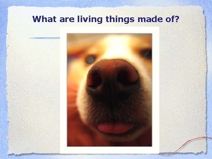 What are living things made of? 