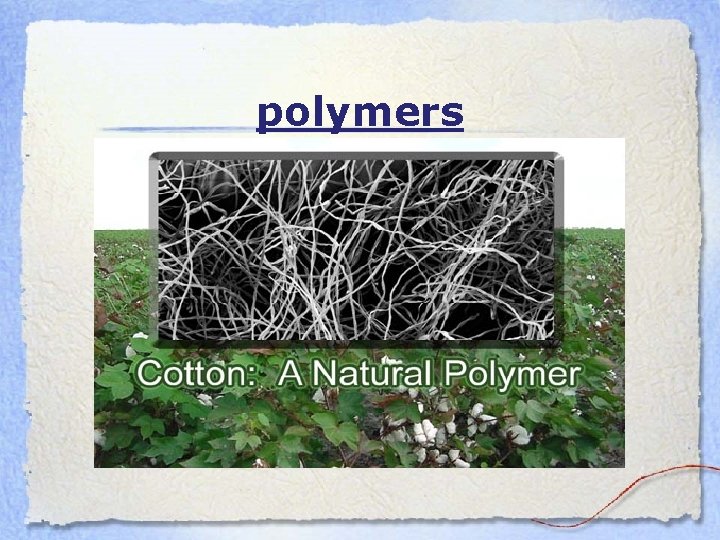 polymers 