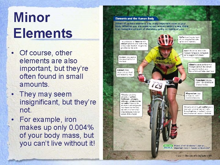 Minor Elements • Of course, other elements are also important, but they’re often found