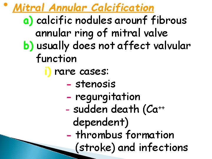  • Mitral Annular Calcification a) calcific nodules arounf fibrous annular ring of mitral