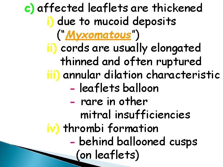 c) affected leaflets are thickened i) due to mucoid deposits (“Myxomatous”) Myxomatous ii) cords