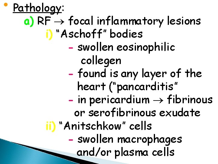  • Pathology: a) RF focal inflammatory lesions i) “Aschoff” bodies - swollen eosinophilic