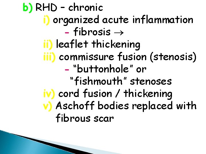 b) RHD – chronic i) organized acute inflammation - fibrosis ii) leaflet thickening iii)