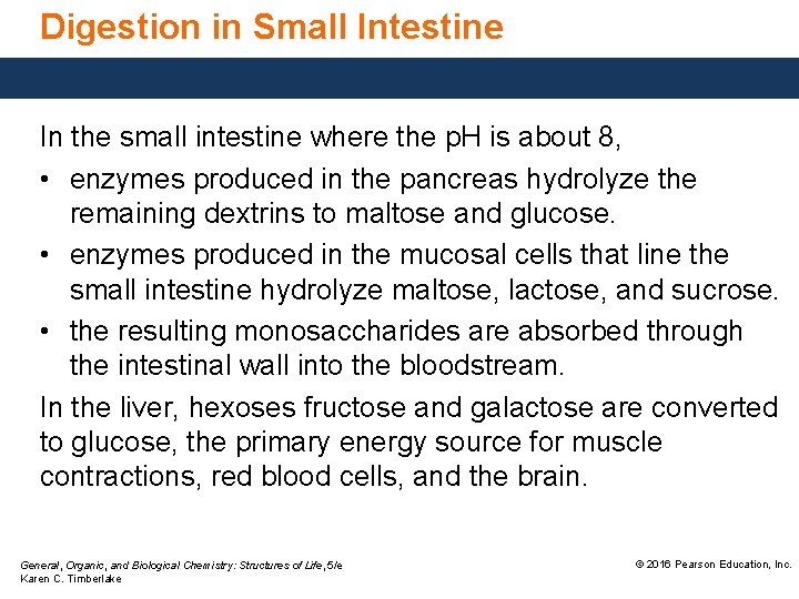 Digestion in Small Intestine In the small intestine where the p. H is about