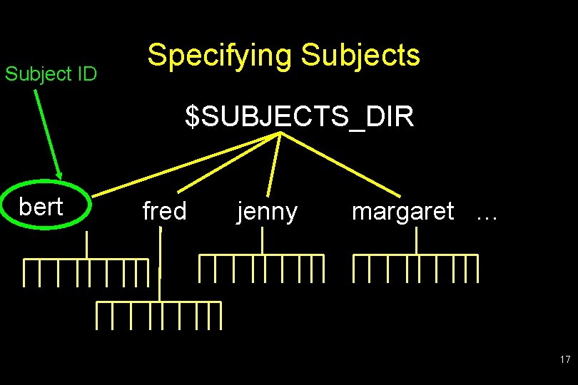 Subject ID Specifying Subjects $SUBJECTS_DIR bert fred jenny margaret … 17 