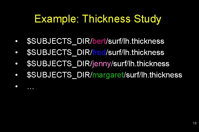 Example: Thickness Study • • • $SUBJECTS_DIR/bert/surf/lh. thickness $SUBJECTS_DIR/fred/surf/lh. thickness $SUBJECTS_DIR/jenny/surf/lh. thickness $SUBJECTS_DIR/margaret/surf/lh. thickness