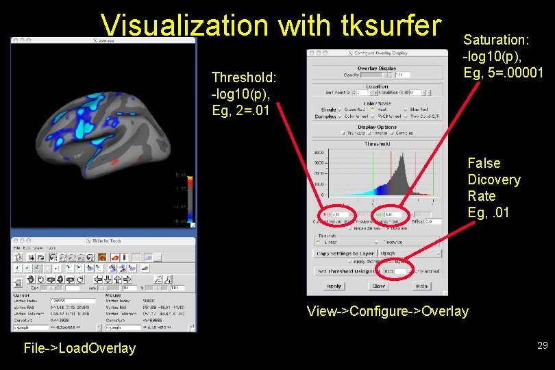 Visualization with tksurfer Threshold: -log 10(p), Eg, 2=. 01 Saturation: -log 10(p), Eg, 5=.