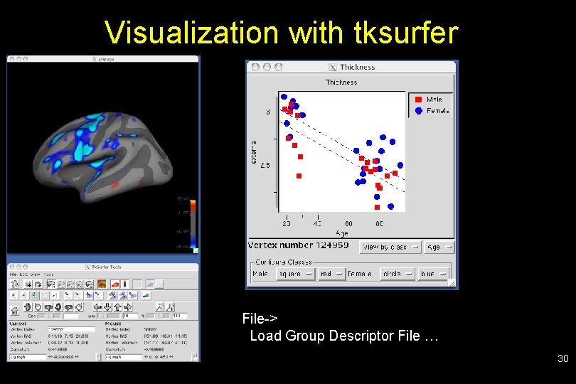 Visualization with tksurfer File-> Load Group Descriptor File … 30 