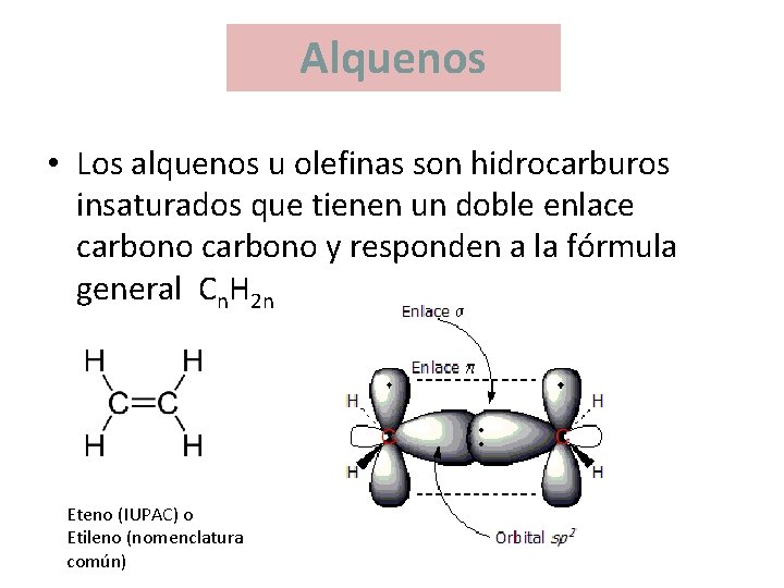 Alquenos • Los alquenos u olefinas son hidrocarburos insaturados que tienen un doble enlace