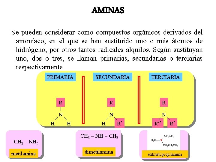 AMINAS Se pueden considerar como compuestos orgánicos derivados del amoníaco, en el que se