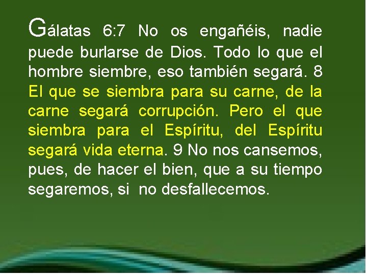 Gálatas 6: 7 No os engañéis, nadie puede burlarse de Dios. Todo lo que