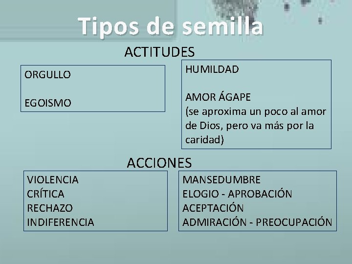 Tipos de semilla ACTITUDES ORGULLO HUMILDAD EGOISMO AMOR ÁGAPE (se aproxima un poco al