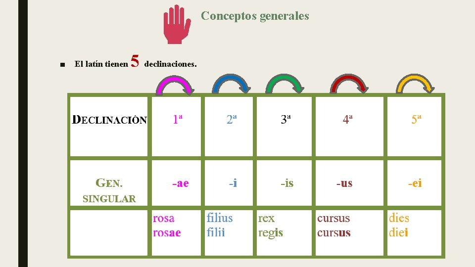 Conceptos generales ■ El latín tienen 5 declinaciones. 