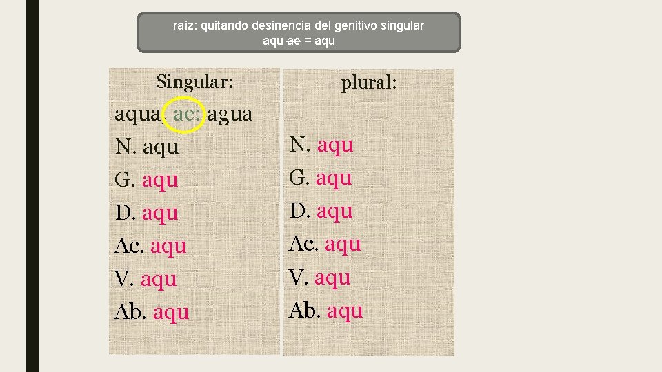 Enunciado de un singular sustantivo raíz: quitando desinencia del genitivo aqu ae = aqu