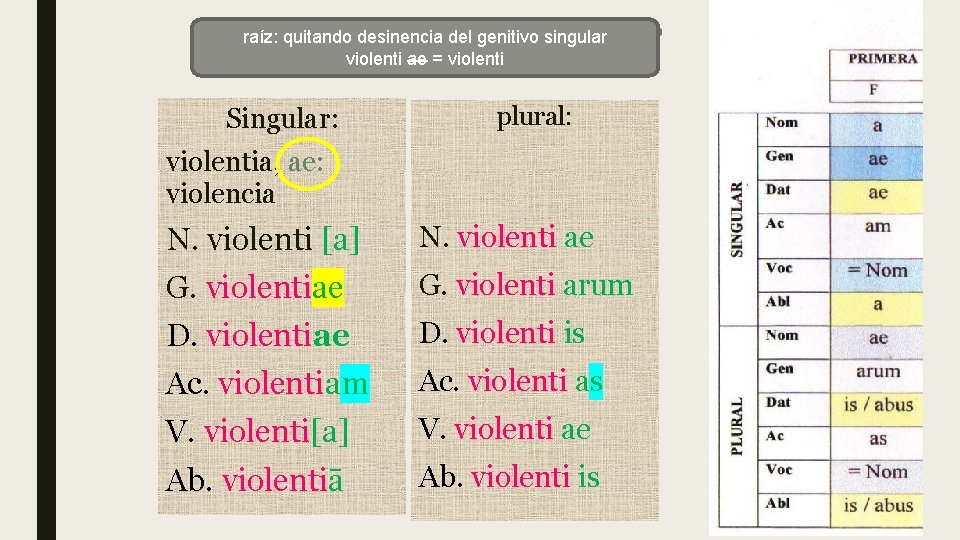 Enunciado de unsingular sustantivo raíz: quitando desinencia del genitivo violenti ae = violenti Singular: