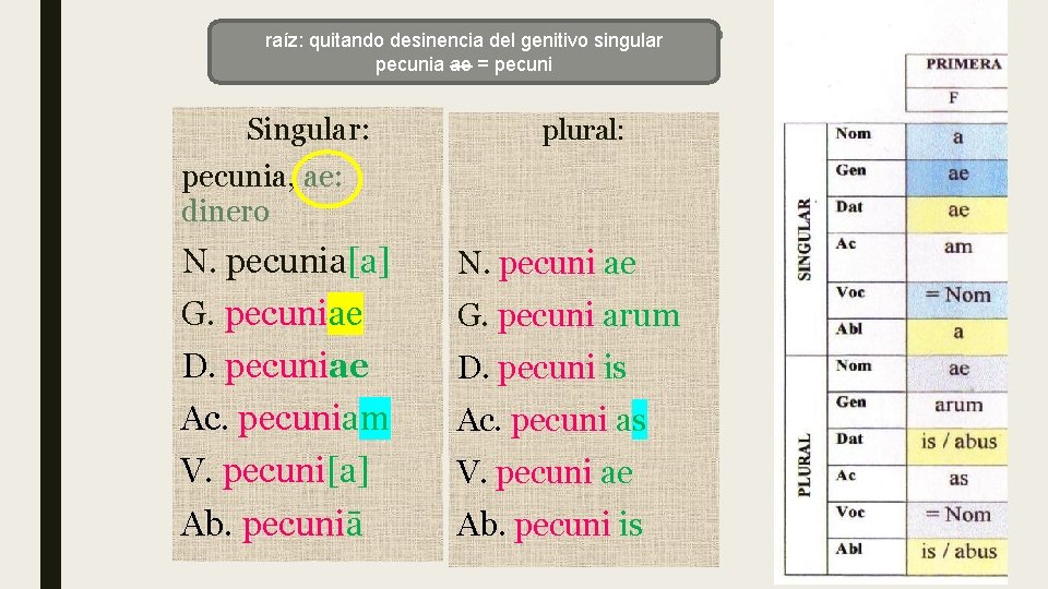 Enunciado de unsingular sustantivo raíz: quitando desinencia del genitivo pecunia ae = pecuni Singular: