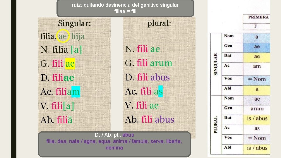 raíz: quitando desinencia del genitivo singular Enunciado filiae = fili de un sustantivo Singular: