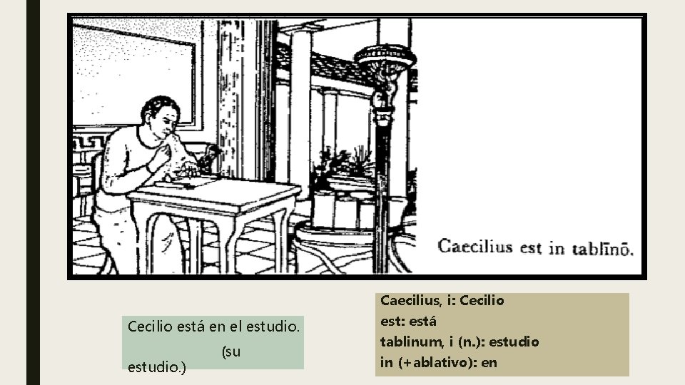 Caecilius, i: Cecilio está en el estudio. ) (su est: está tablinum, i (n.