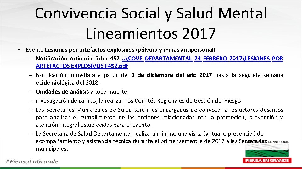 Convivencia Social y Salud Mental Lineamientos 2017 • Evento Lesiones por artefactos explosivos (pólvora