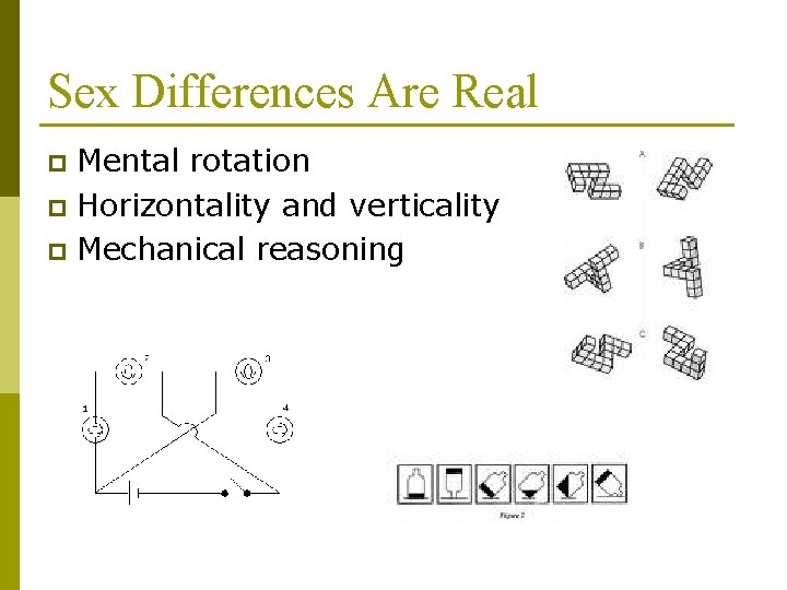 Sex Differences Are Real Mental rotation p Horizontality and verticality p Mechanical reasoning p