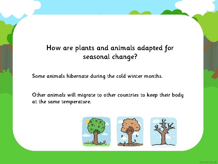 How are plants and animals adapted for seasonal change? Some animals hibernate during the