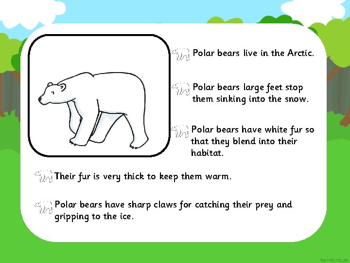 Polar bears live in the Arctic. Polar bears large feet stop them sinking into