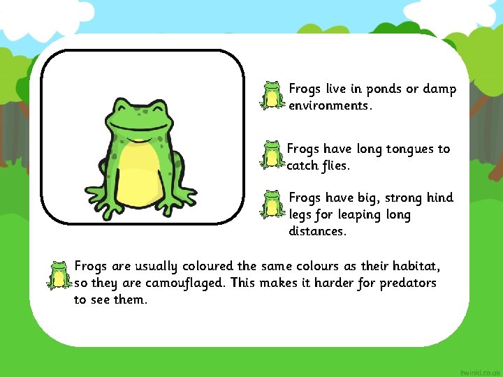 Frogs live in ponds or damp environments. Frogs have long tongues to catch flies.