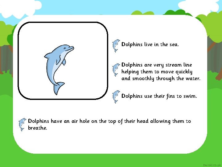 Dolphins live in the sea. Dolphins are very stream line helping them to move